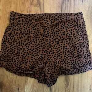 Brown and Black Polka Dot Women's Shorts
